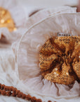 Cintillo Turbante Chic Champaña Glow
