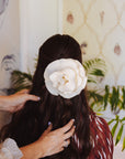 Flor Bamba Cruda